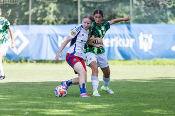 Bild 288 - wBJ Hamburger SV - VfL Wolfsburg : Ergebnis: 5:1